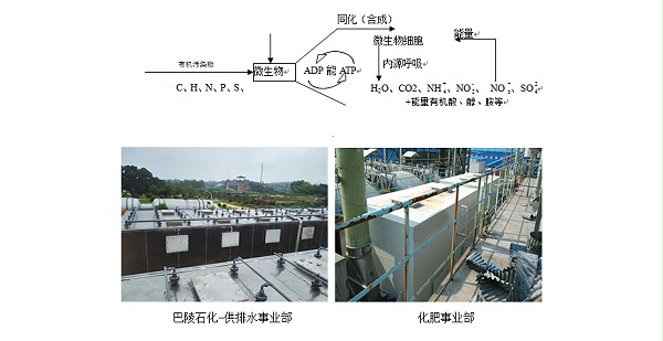 石化污水厂恶臭解决方案